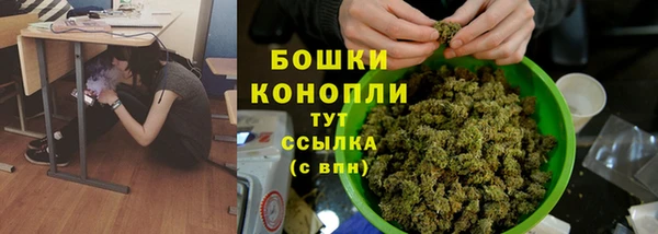 ALPHA PVP Беломорск