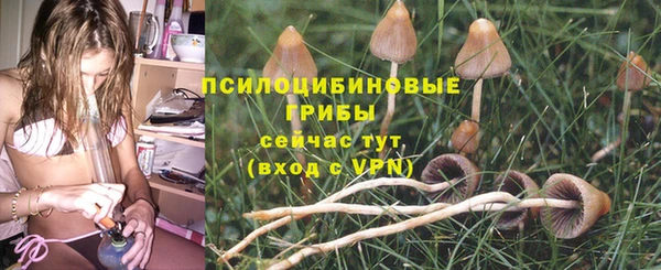 винт Белокуриха