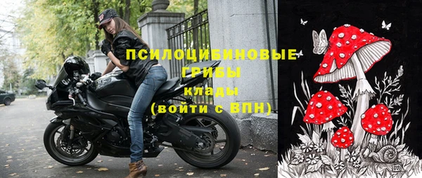 винт Белокуриха