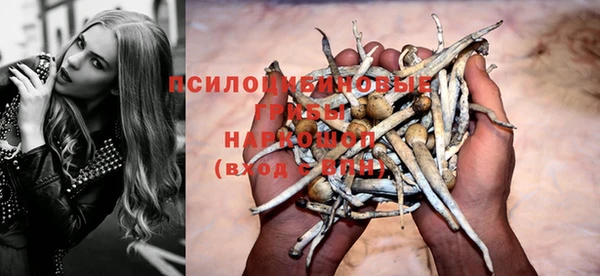 винт Белокуриха