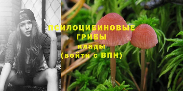 ALPHA PVP Беломорск