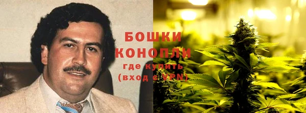 винт Белокуриха